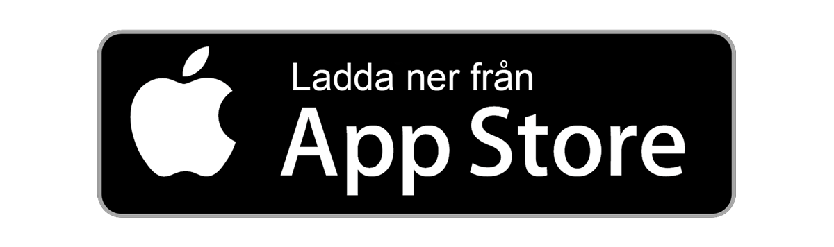 App Store Logo
